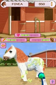 Petz Pony Beauty Pageant screenshot 4