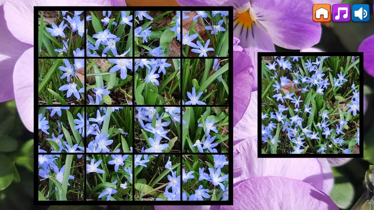 OG Puzzlers: Spring 2K24