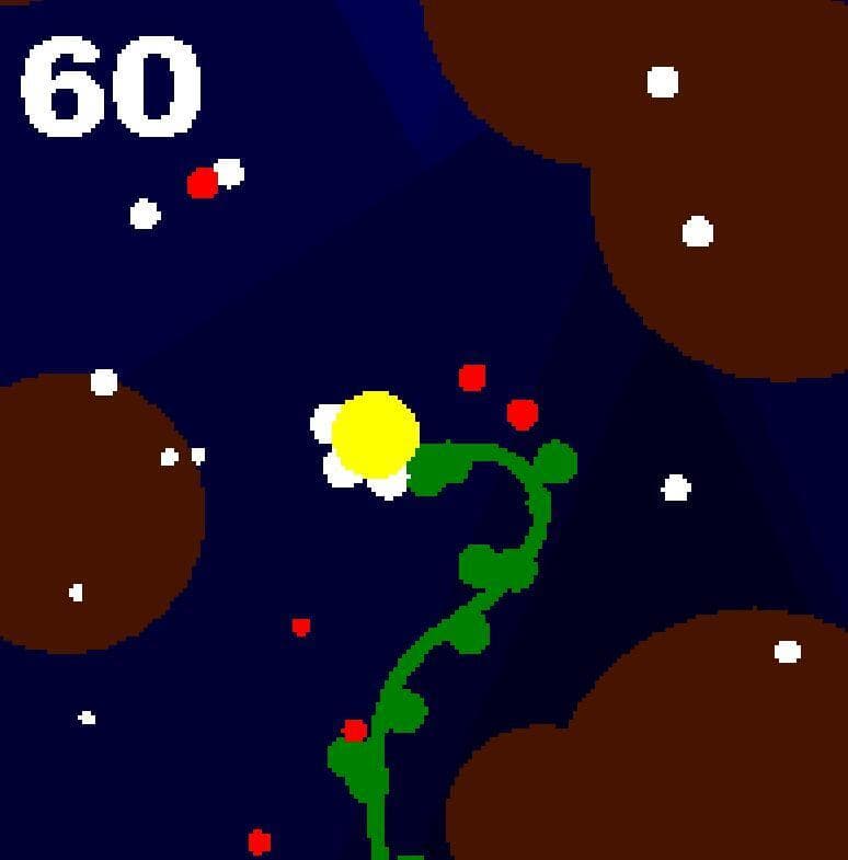 Ever seed screenshot 5