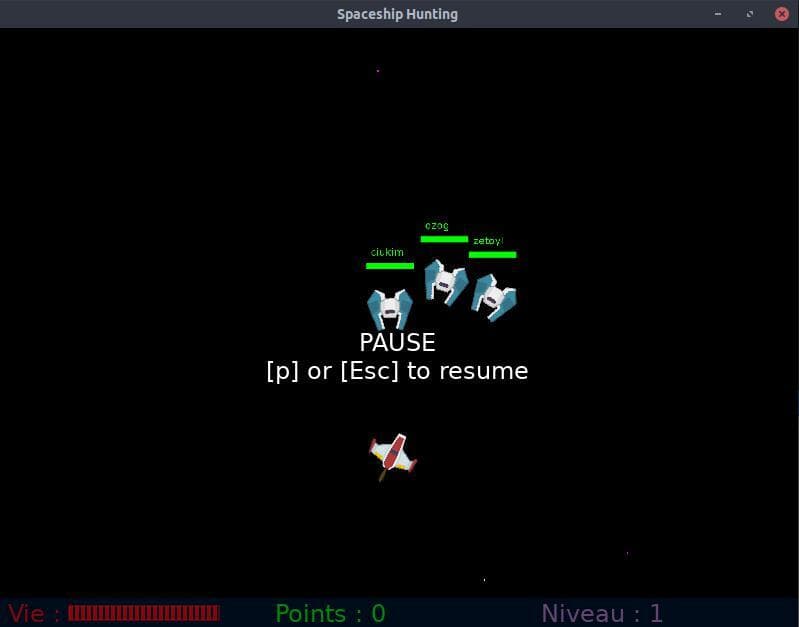 SpaceshipHunting