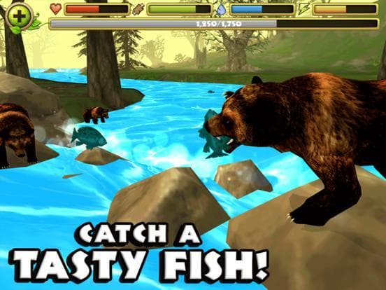 Wildlife Simulator: Bear screenshot 3