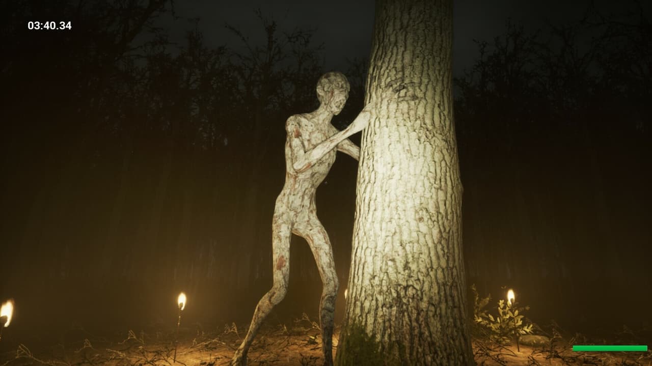 Slender Reborn screenshot 6