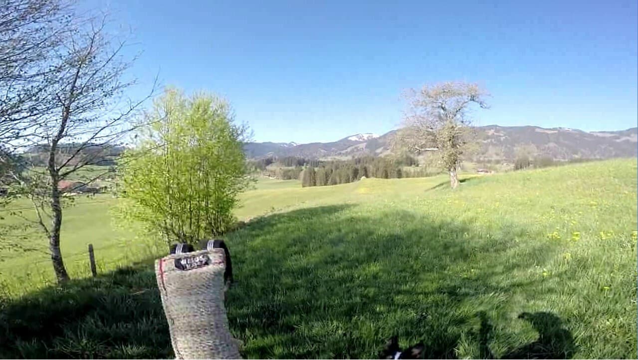 BorderCollie Game screenshot 6
