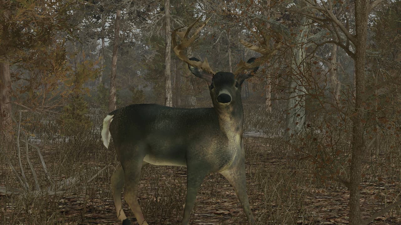 Pro Deer Hunting screenshot 2