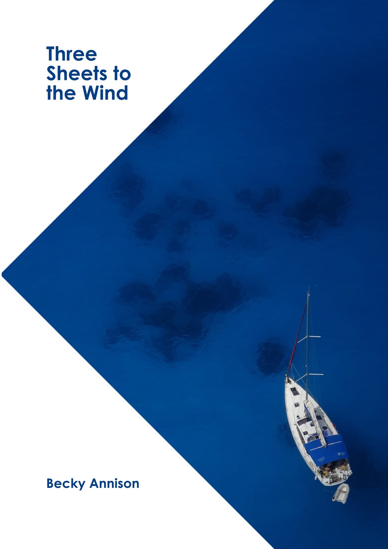 Three sheets to the wind (Black Armada Games) screenshot 2