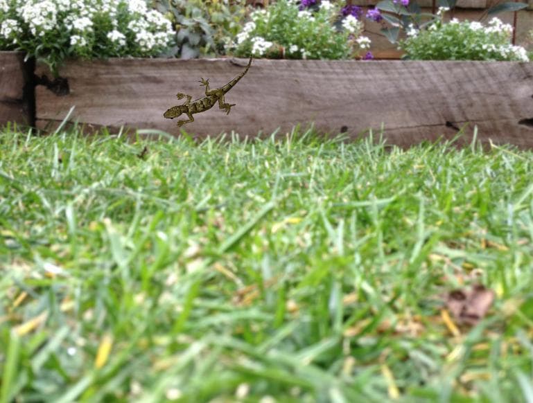Suburban Garden screenshot 3