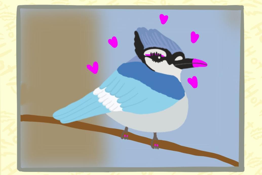 Birder screenshot 3