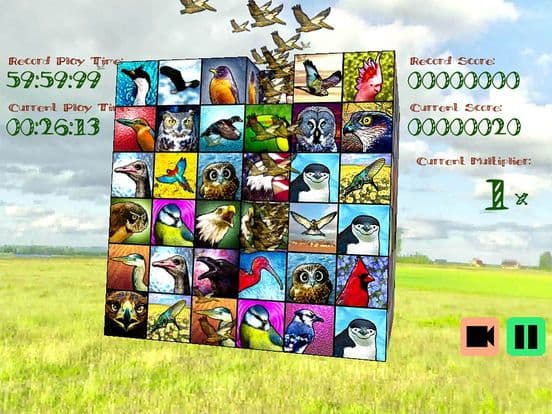 Birdistry screenshot 3