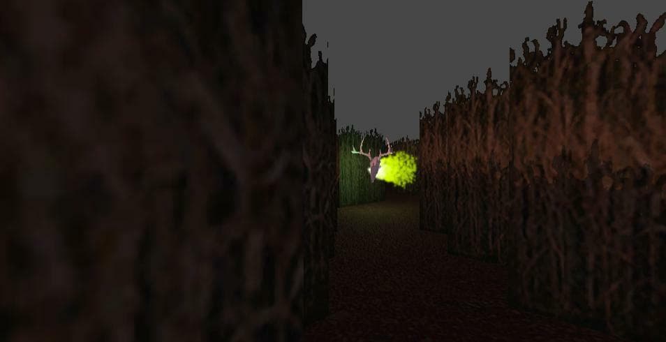 The Maze! screenshot 2