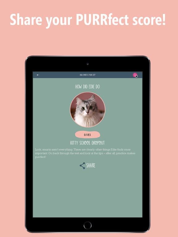 How Smart Is Your Cat? Fun Ways to Find Out!