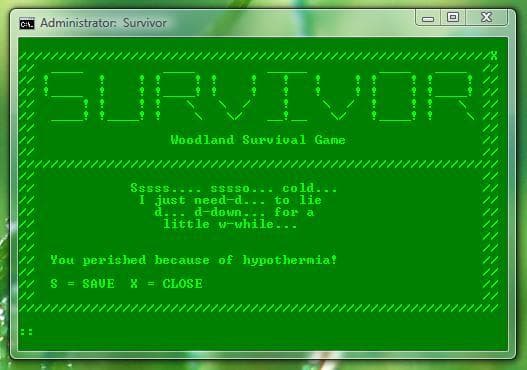 Survivor - Batch File Game
