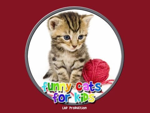 funny cats for kids - free game screenshot 2