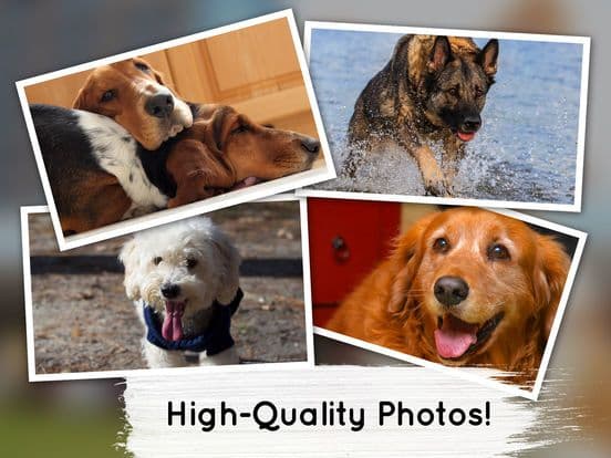 Venn Dogs: Jigsaw Puzzle screenshot 2