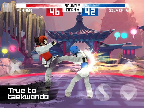 Taekwondo Game screenshot 4