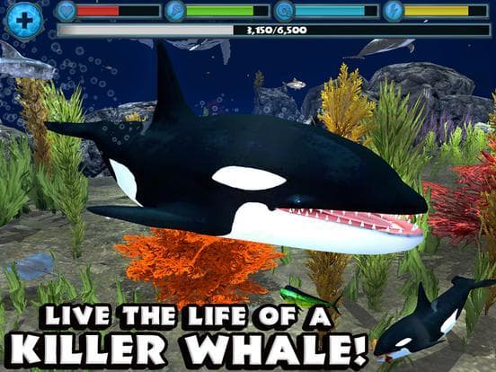 Orca Simulator screenshot 2