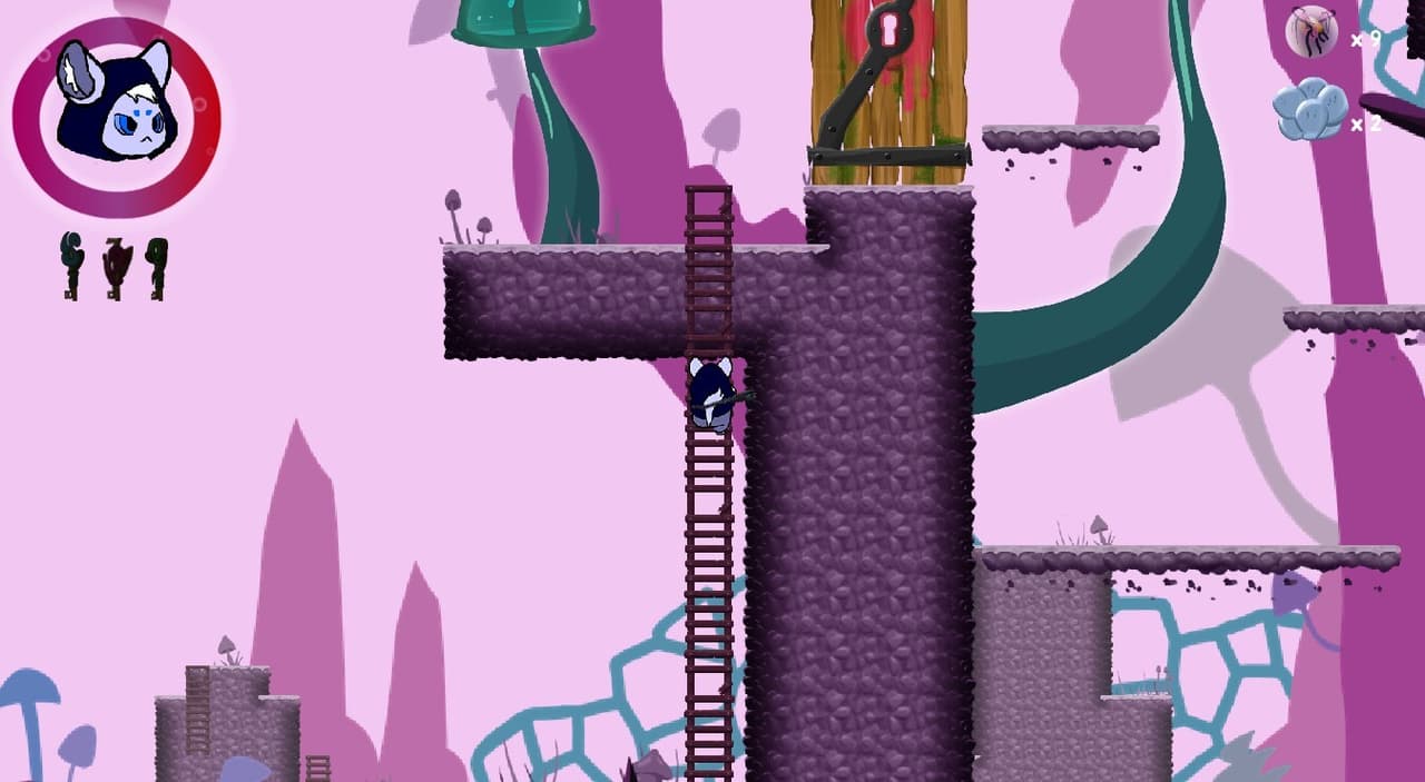 Mokis Adventure