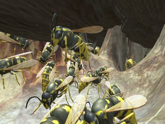 Wasp Nest Simulator 3D screenshot 5