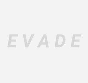 EVADE (itch) (Gamedroid520)