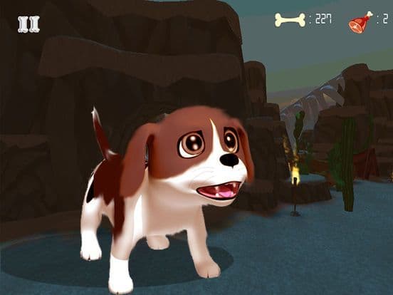 Puppy Bash