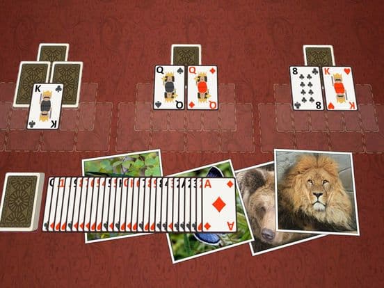 TriPeaks Wild Animals screenshot 5