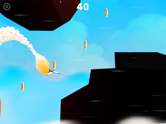 Freedom Sky Flight Pro screenshot 5