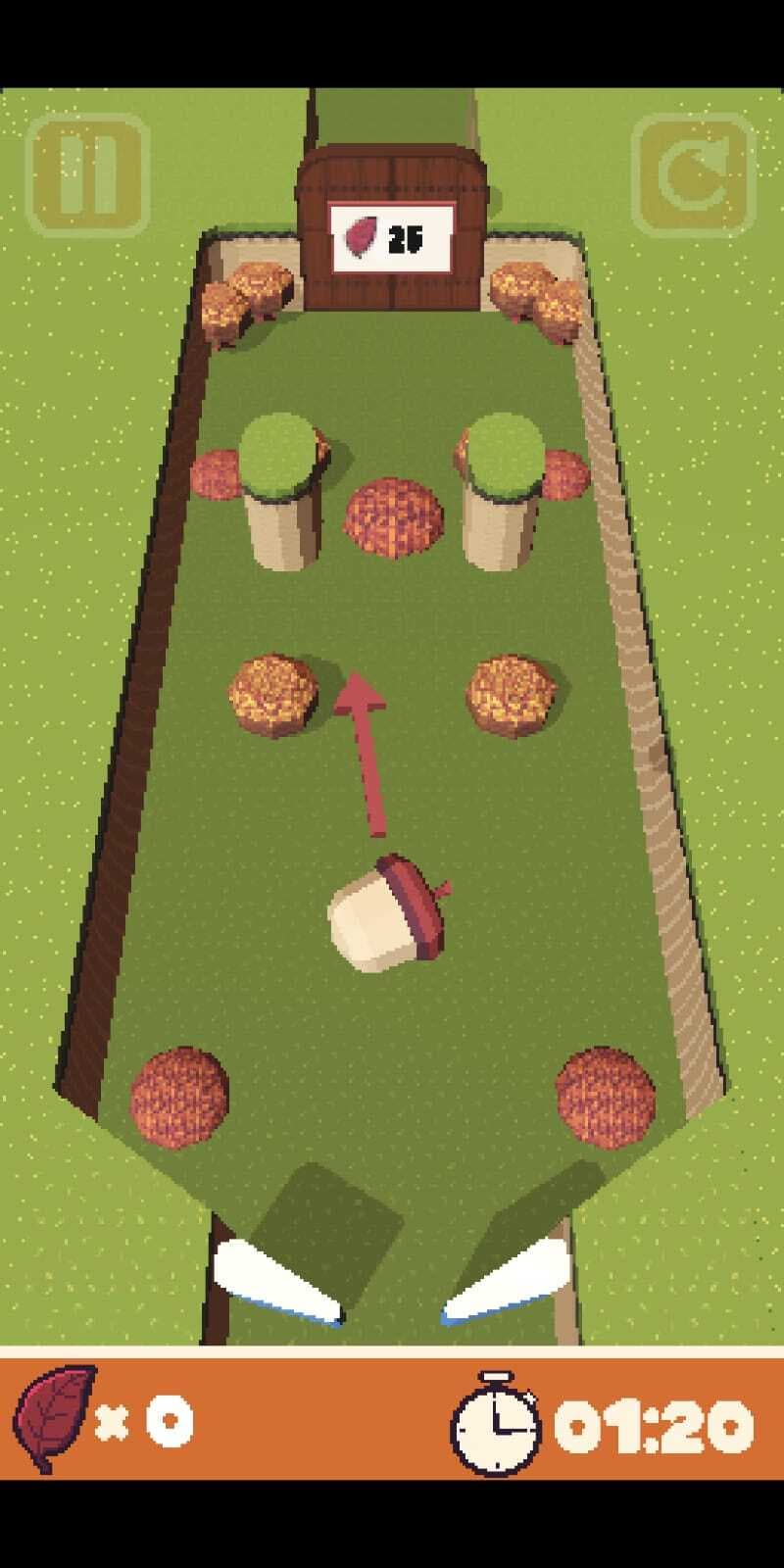 Acorn Pinball