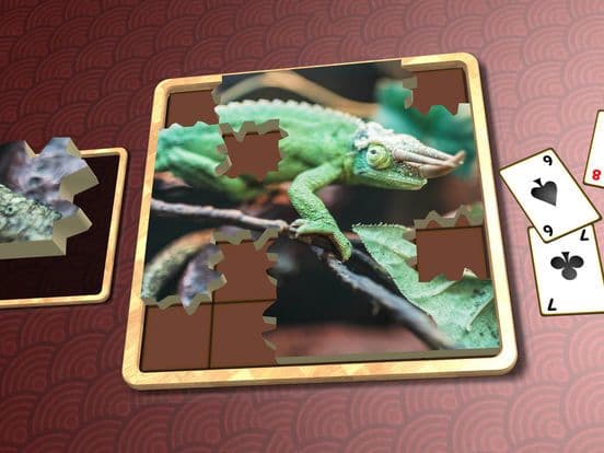 Jigsaw Solitaire Great Outdoors screenshot 5