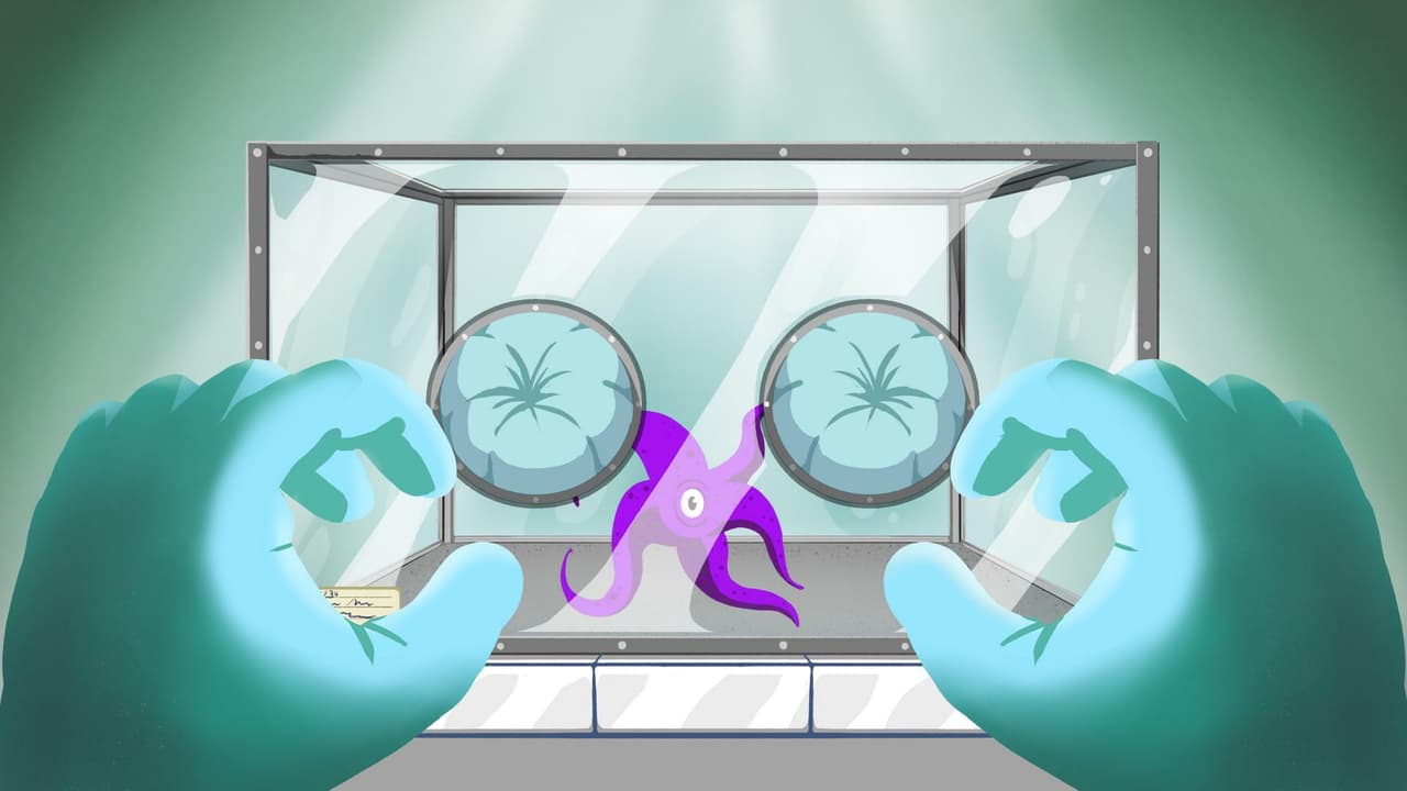 Non-human Seeking Free Wobbling screenshot 2