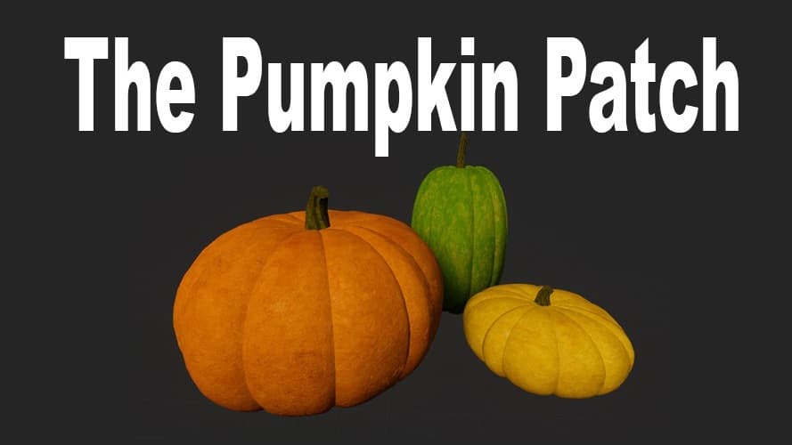 The Pumpkin Patch
