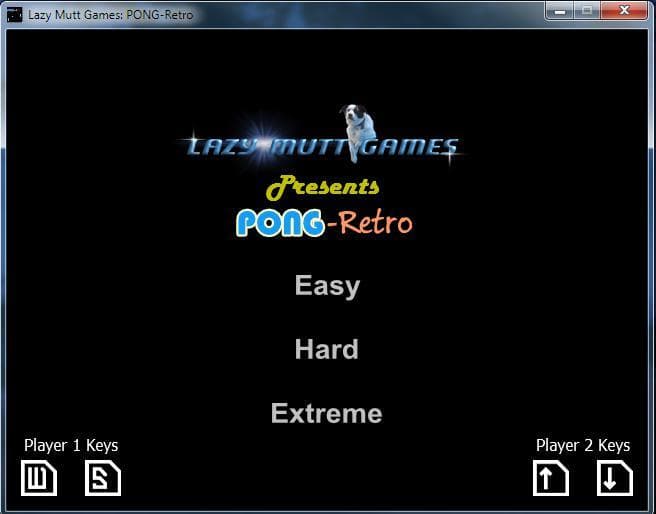 PONG-Retro