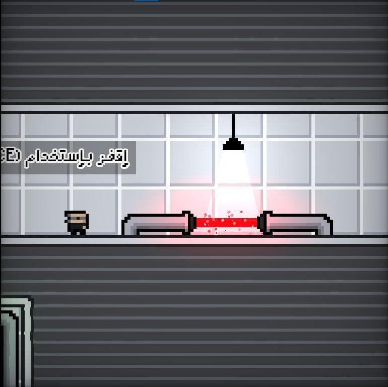 The stupid thief