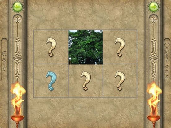 FlipPix Jigsaw - Dragons screenshot 3