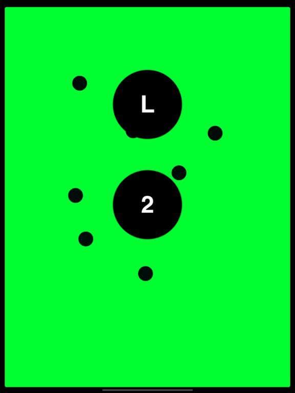 rl screenshot 4